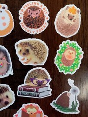 STICKERS x 10 Hedgehogs SASSY Cute Baby Hedgehog Sticker Book Love Flowers HO4