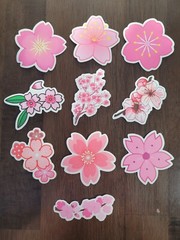 STICKERS x 10 Flowers Pink Cherry Blossom Orchid Tree Sticker CHE5