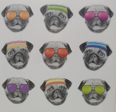 American Greetings Cat And Dog Stickers Cool Cat And Dogs Wearing Sunglasses
