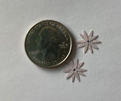 PURPLE LIGHT ECHINACEA FLOWER Embellishments(10pc) Jolee’s•Garden•Plant•Wedding•