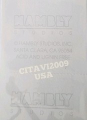 HAMBLY STUDIOS PRISMATIC STICKERS PIRATES AHOY MATEY SWORDS VINTAGE COLLECTIBLE.