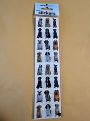 Paper House Dog Stickers