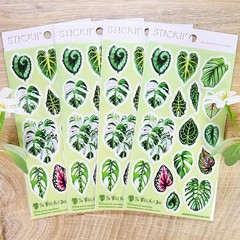 Stickii – Monstera Leaf Stickers – Plant Leaves Sticker Sheet – Crafts Planners