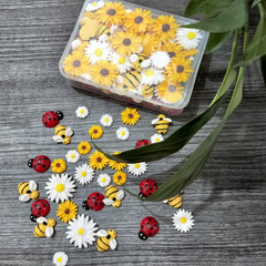 120Pcs Mini Resin Bee Daisy Flowers Decor and Ladybugs Embellishments, Including