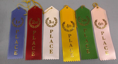 Award Ribbon Set 1st–6th Place – Flat Card & String – Classroom Sports Events