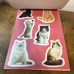Pen+Gear Vinyl Sticker Book, 14 Sheets with 98 Stickers