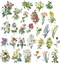 60Pcs/Set Vintage Washi Sticker Set Retro Flowers Sticker Decorative Stickers DI