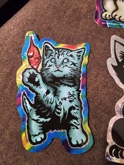 Cat And Dog Holographic Stickers Vintage 1998 CEI Made In The USA