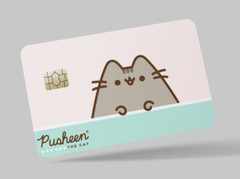 PUSHEEN CAT , 2 pc credit card skin & DEBIT CARD,TROLLEY & GYM