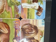 LOT OF 7 Full Sheets VTG Animals Birds Dogs EAS Die Cut Paper Scrap Germany