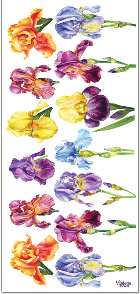 Violette Stickers Colorful Spring Iris Flowers Crafts Planner Supply Scrapbook