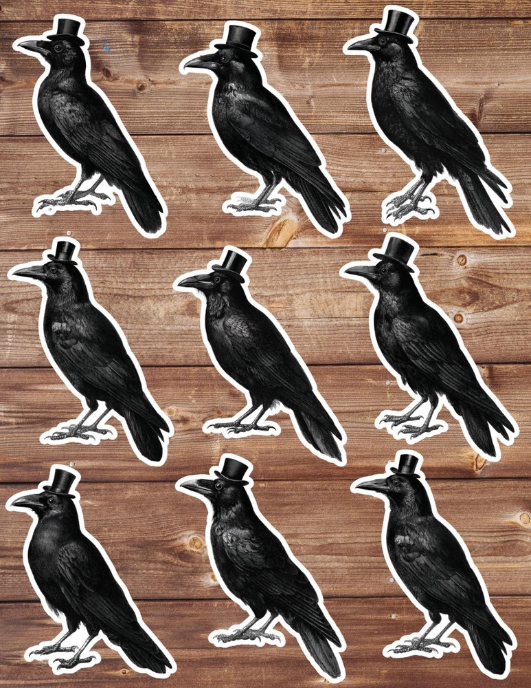 Gothic Black Crow Die Cut Vinyl Stickers Scrapbooking Laptop Waterbottle