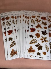 The Paper Studio Fall Leaves18 packs Foiled StickersMulticolor 21pcMPN 341339