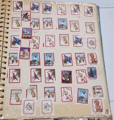 Hawaii Hanauma Bay Album Puffy Scratch N Sniff Hello Kitty Stickers Collection