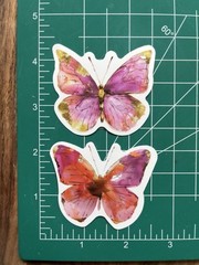 Pink Pretty Cute 🦋 Butterfly of Butterflies Stickers – Free Shipping – Tulip