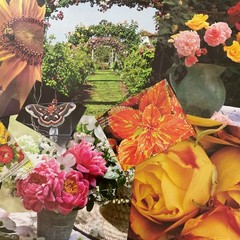 Petals & Pages Collection – Mixed Media Collage Pack, Floral Ephemera Bundle