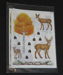 Creative Memories Forest Wildlife Stickers – 5 sticker strips / 2 block sticker