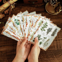 Plant Themed Washi Stickers for Journaling Scrapbooking Planner Sticker Ephemera
