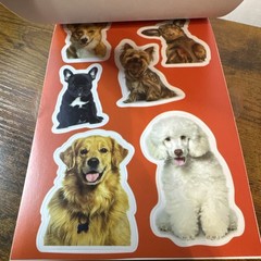 Pen+Gear Vinyl Sticker Book, 14 Sheets with 98 Stickers