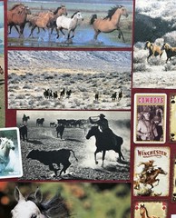 HORSES Curated playing cards & book pages kit Some Vintage 45 Pieces – original