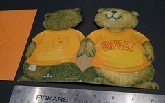 Vintage Hallmark Shirt Tales Card Envelope Set BLANK VTG Woodland Critters 80s