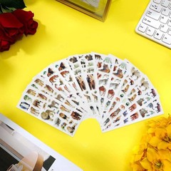 42 Sheets 3D Fluffy Jungle & Zoo Animal Stickers for Teenagers, Colorful