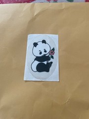 Vintage 1980s Transparent Panda Sticker