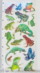 Violette Stickers Holographic Frogs & Lizards Crafts Planner Supply Scrapbook