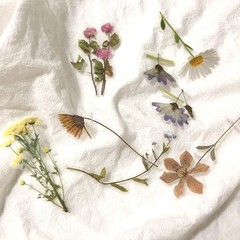 120Pcs Natural Flower Stickers for Scrapbook, Transparent Dried Resin Floral …