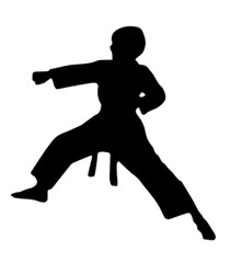 KID, CHILDREN, YOUNG ADULT, MARTIAL ARTS «KARATE KIDS!» SILHOUETTE DIE CUT/ CUTS