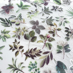 50-Piece Transparent Waterproof Greenery Plant Stickers for Scrapbooking, Journa