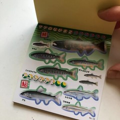 FISH Japanese Stickers book 274 stickers Shogakkan NEO Book Series