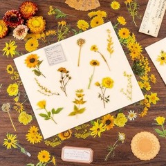320Pcs Flower Stickers, Cute Vintage Floral Sticker for Kids, Clear Wildflower S