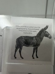 Scripture Animal Stickers