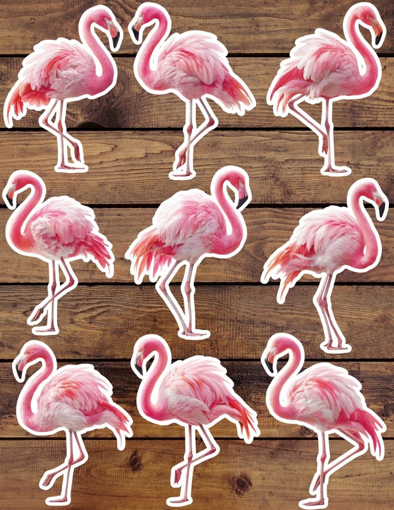 Pink Flamingo Die Cut Vinyl Stickers Set Scrapbooking Laptop Water Bottle