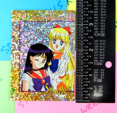 Sailor Moon & Friend Prismatic Trading Card Sticker