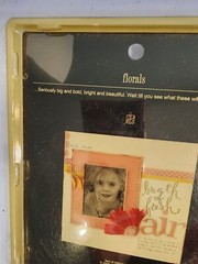 Heidi Snapp Crimson Flowers Scrapbook/Craft Orange Flowers 5″ 12 Layers 2005