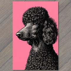 STICKER Poodle Head Pink Background Black Ink Detailed Dog Face Retro Style