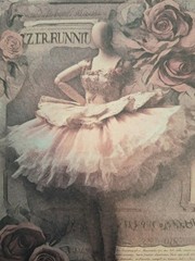 120 Sheets Vintage Material Scrapbooking Paper Pack The Rose Manor 5 1/2X 3 3/4