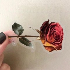 50PCS Dried Roses Stickers Aesthetic PET Transparent Stickers Vintage Gothic Flo