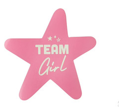 Team Boy or Team Girl Gender Reveal Stickers, 40 Pieces, by Way To Celebrate