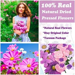 92 Pcs Purple Dried Pressed Flowers Real Natural Leave Petals for DIY Resin C…