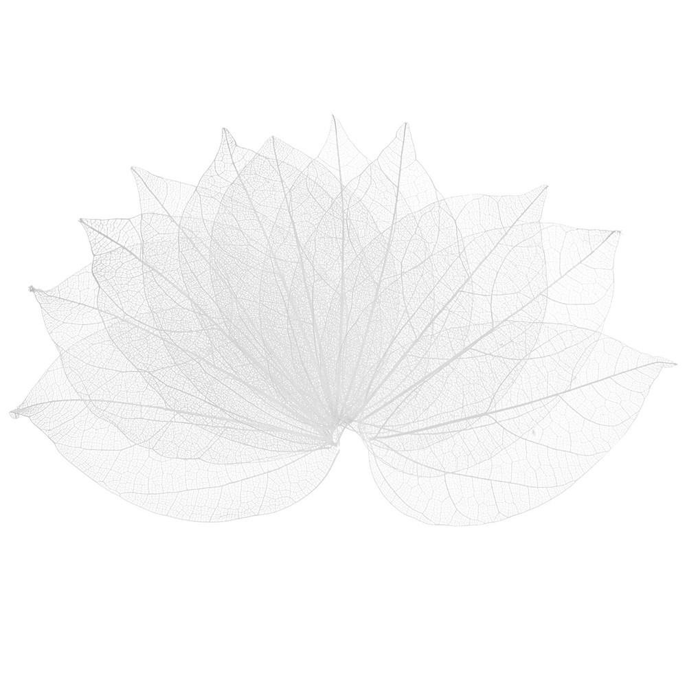 100-Pack Skeleton Leaves, Natural Rubber Tree Leaves Vein[7-9cm, White]