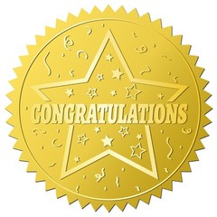 408Pcs Congratulations Gold Foil Embossed Stickers 2″ Star Self Adhesive Enve…