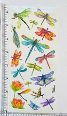 Violette Stickers Colorful Dragonfly Craft Planner Supply Scrapbook Insect