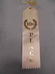 Lot of 12 – 10th Place Award Ribbons – Flat Card & String – Scrapbooking Grey