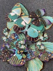 ADHESIVE LARGE COLORFUL BLUE/GREEN COLORS BUTTERFLY SHAPE MULTI-SIZE BUTTERFLIES