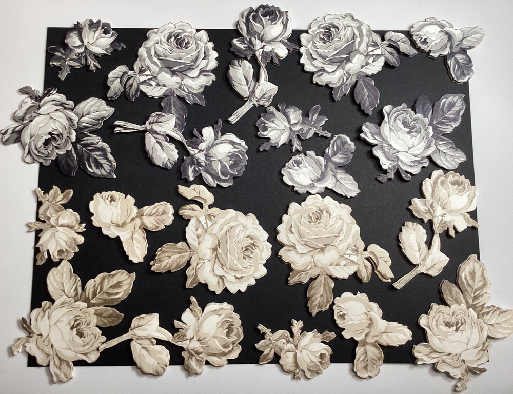 Anna Griffin Black and Cream Roses Embellishment Stickers 20 Pieces