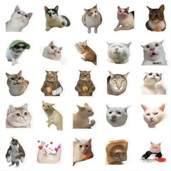 50PCS Funny Cat Stickers Pack Cute Waterproof Vinyl Decals for Laptop Water Bott