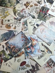 200+ cottage core mystical forest kit Lot Junk Journal Ephemera